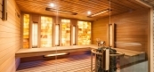 Combination sauna house