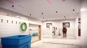 horse wash and solarium