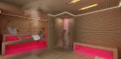 Sauna wellness with bath