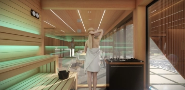 Premium sauna construction