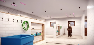 horse wash and solarium