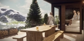 Unique solid wood saunas