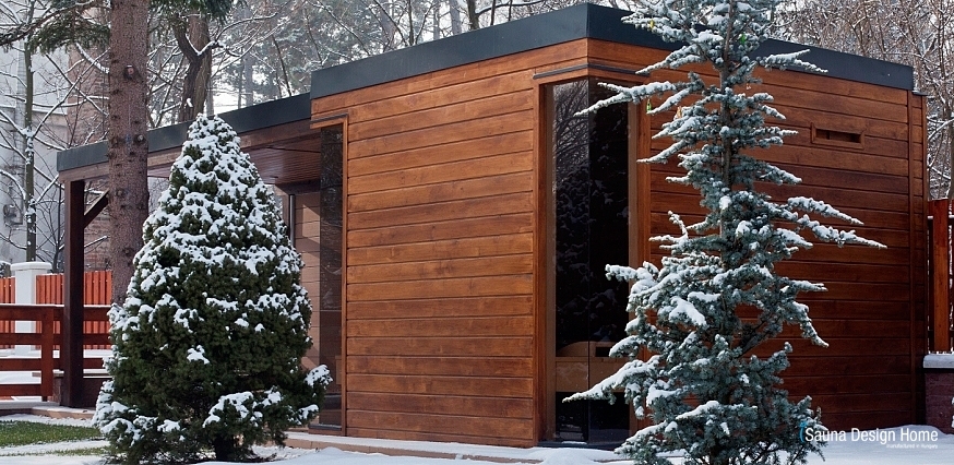 Modern finnish sauna house